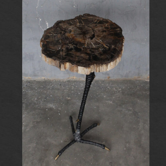 Petrified Wood Table With Metal Claw Base