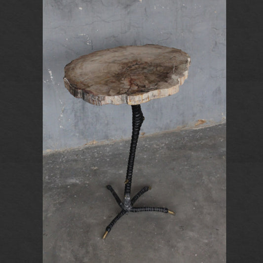 Petrified Wood Table With Metal Claw Base