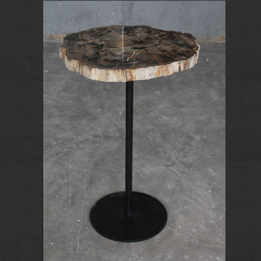 Stone Plus India Petrified Brown Wood Table