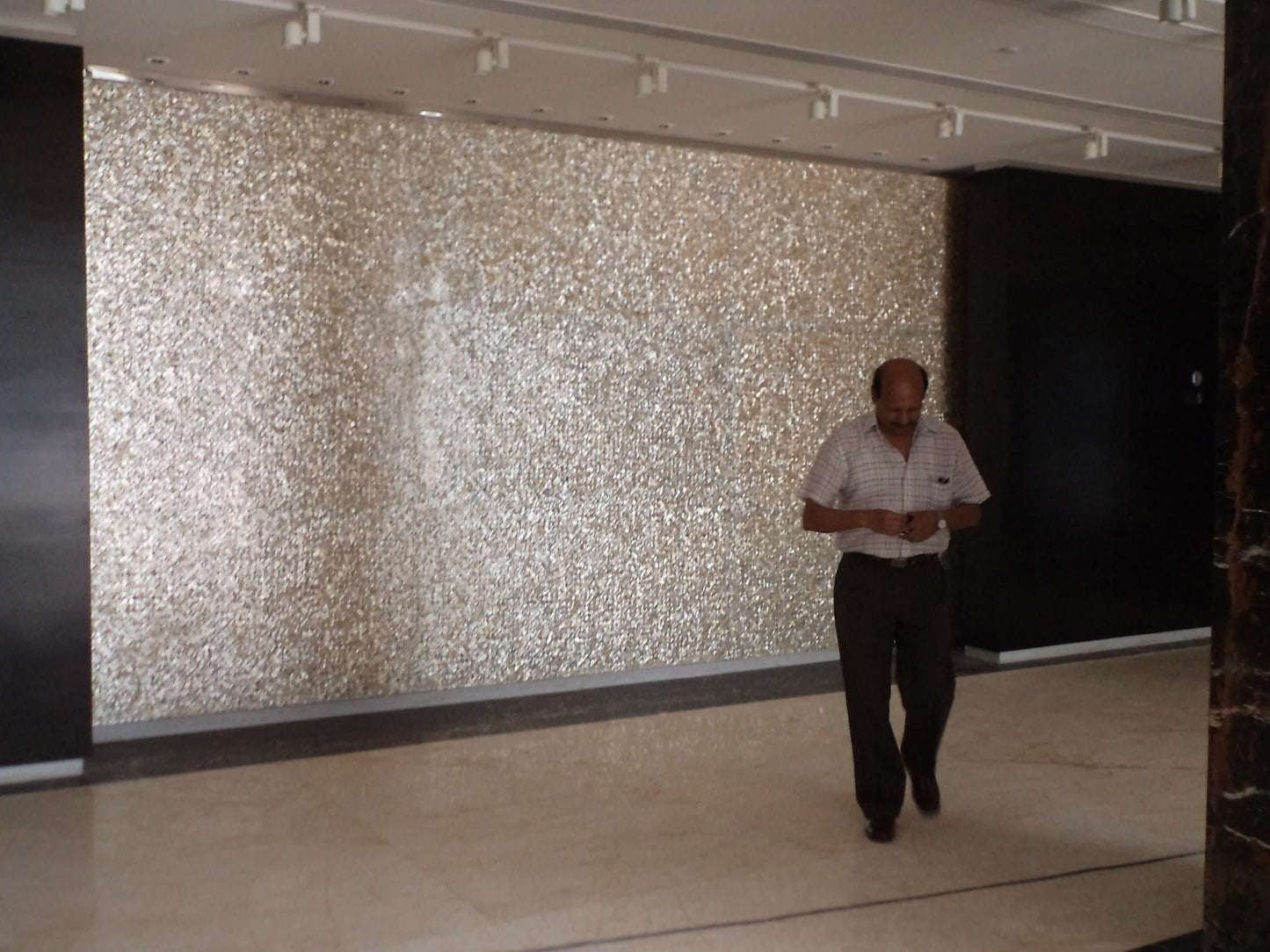 Stone Plus India White Mother of Pearl Wall Cladding