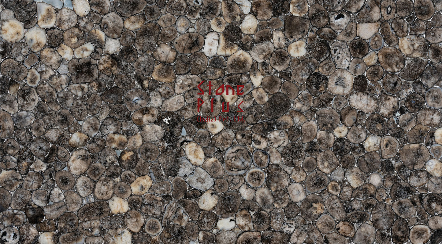 Stone Plus India Coal Agate
