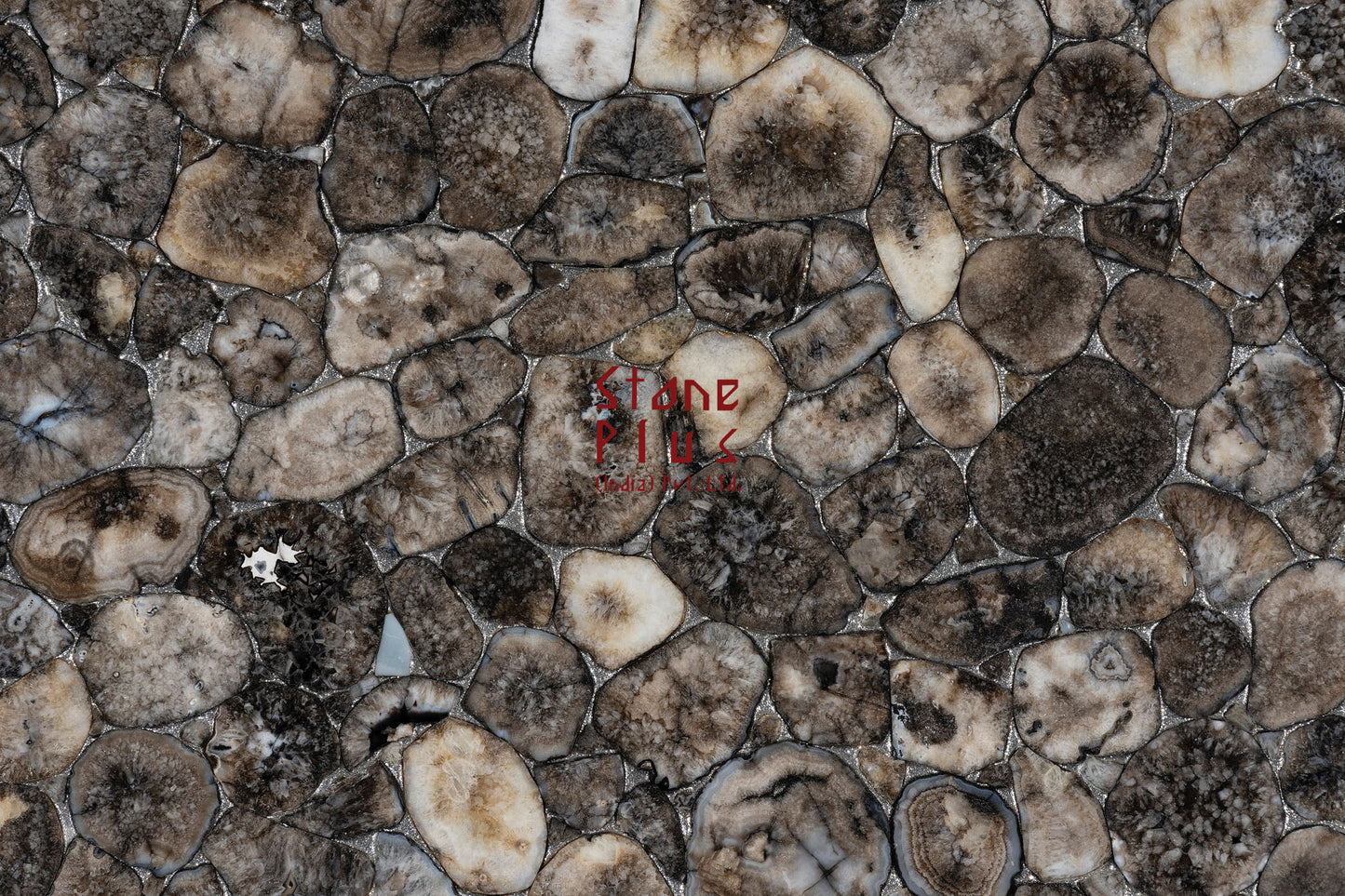 Stone Plus India Coal Agate
