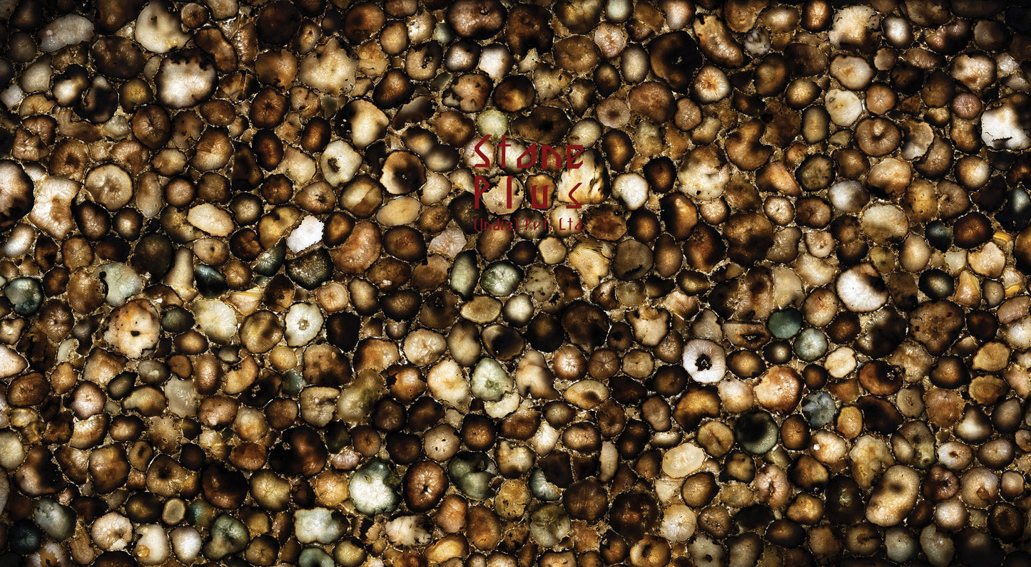 Stone Plus India Coal Agate
