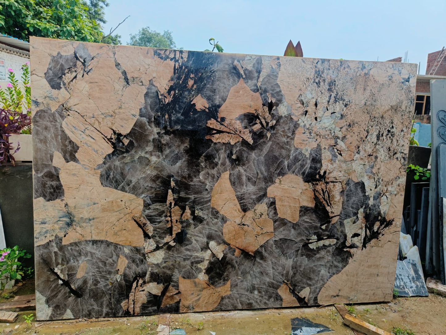 Pink Patagonai Granite Slab