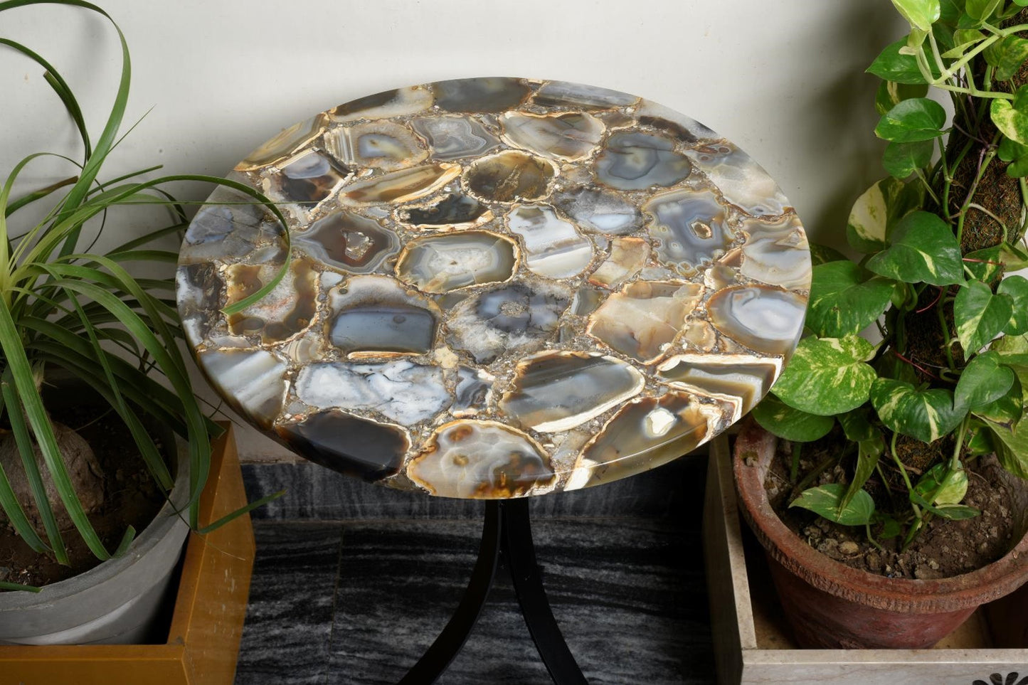 Stone Plus India Wild Agate Coffee Table