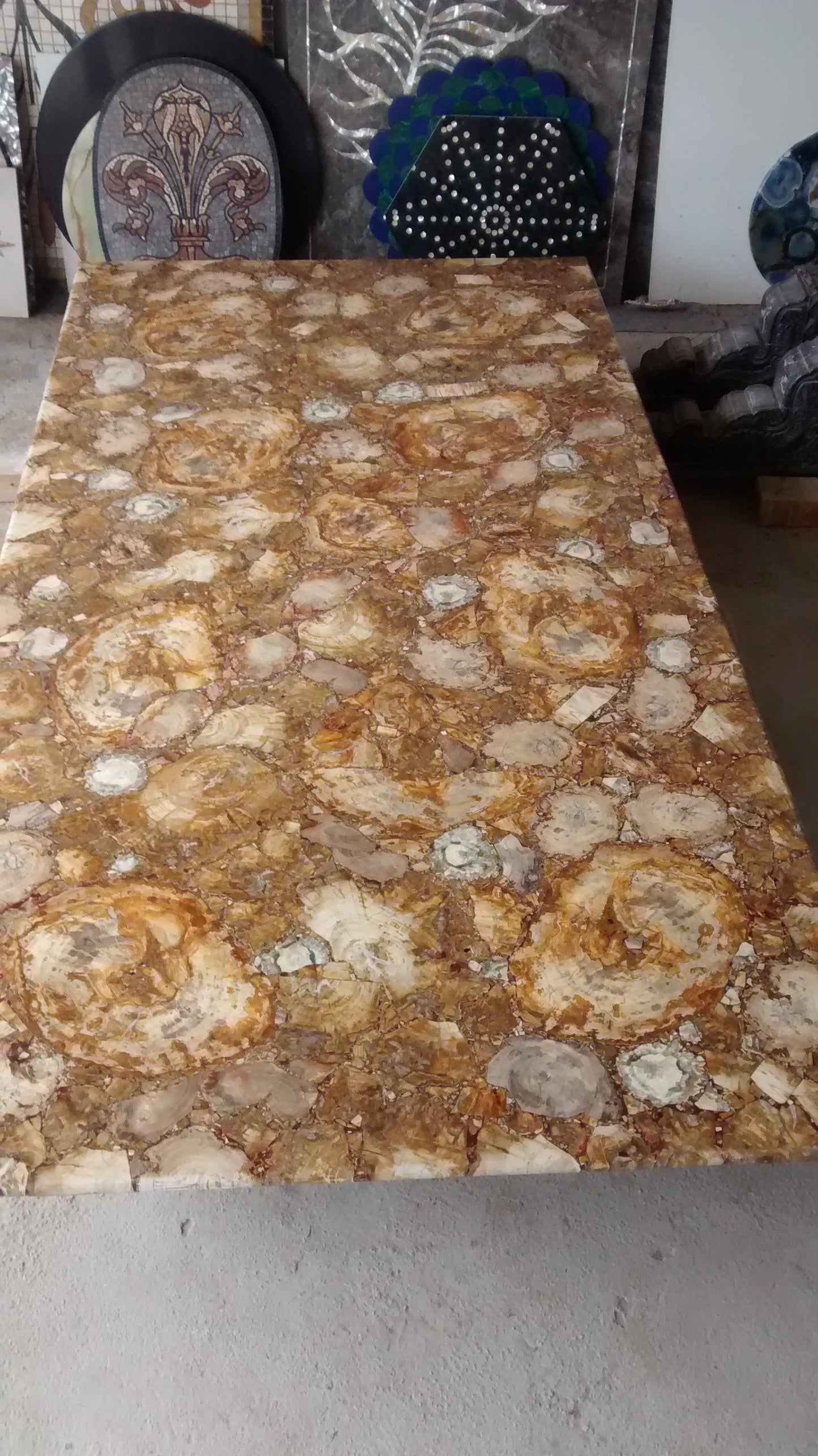 Stone Plus India Petrified Wood Brown Slab/ Tabletop